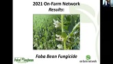 2021 Faba Bean Fungicide Results