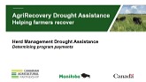 AgriRecovery Drought Assistance - Herd Management Payment Calculation
