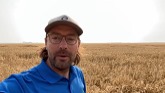 KWS Serafino hybrid fall rye agronomy