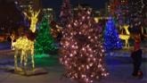 Legislature Christmas Tree Light Up