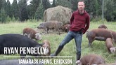 Tamarack Farms - Livestock Integration