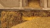 Don’t Overlook Feed Biosecurity in E...