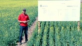 2021 Bourgault Agronomy Trials – In ...