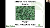 2021 Pea Seeding Rate Results