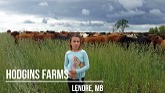 Hodgins Farms - Livestock Integration