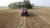 Baling in a drought