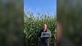 What is Silage Ready™? | The Front Ro...