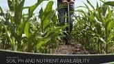Farm Basics #1161 Soil pH and Nutrient Availability