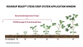 Roundup Ready Xtend Crop System East Overview | The Soybean System You Can’t Resist