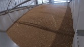The great Canadian wheat haul