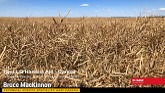 Heat LQ Canola Harvest Aid - Bruce MacKinnon, BASF