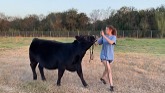 Texas Farm Credit Youth Ag Video Show...