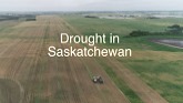 Drought in Saskatchewan - 2021