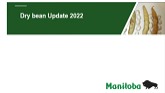 Manitoba, Dry Bean Update Feb. 2022