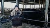 Find out how cattle are raised in Ontario