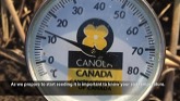 Canola Watch: Soil Temperature