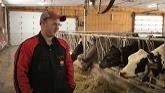 Automation in Dairy Farming - Virtual Dairy Barn Tour