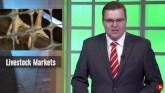 Livestock Markets | Elliott Dennis