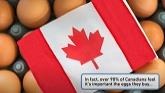 How to identify Canadian eggs