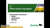 Prairie Canola Crop Report - Dane Froese, Manitoba Agriculture