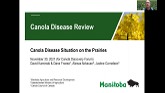 Prairie Canola Disease Report - David Kaminski, Manitoba Agriculture