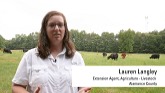 How to Control Pasture Weeds