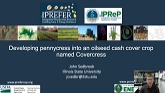 Developing Pennycress into an Oilseed Cash Cover Crop - Dr. John Sedbrook, Illinois State University