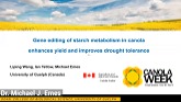Canola Gene Editing Enhances Yield & Improves Drought Tolerance - Dr. Michael Emes, Univ. of Guelph