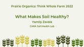 Prairie Organics 2022: What Makes Soil Healthy