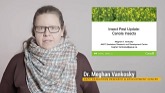 Insect Pest Update: Canola Insects - Dr. Meghan Vankosky, Agriculture and Agri-Food Canada (AAFC)
