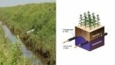 Water Management - Innovation to Prof...