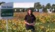 Tips on choosing the rigth soybean variety for you field
