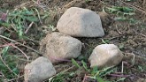 Farm Basics - Rocks in Fields