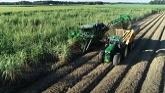 How To Use Harvest Monitor™ | John Deere Sugar Cane Harvesters