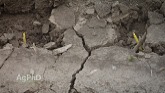 Farm Basics - Soil Crusting