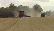 Case IH 8240 Combines Harvesting Whea...