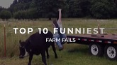 Funny Farm Fails — Volume 3