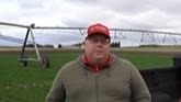 Bumper Crops: Early Season Pest Management in Winter Wheat