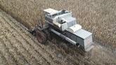 Rippin out corn with our Gleaner L2...
