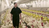 Three Generations Working Side-by-Side on Manitoba Chicken Farm