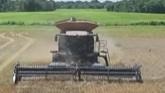 Oklahoma Wheat Harvest Update