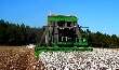 Big Farm - Harvesting Cotton In Canada 2016 - Dej Turner