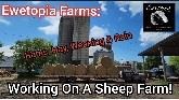 Ewetopia Farms: Working On A Sheep Farm - Rams, Hay Weaning & Rain!