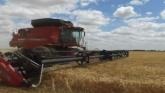 Oklahoma Wheat Harvest Update