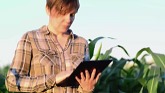 Understanding Precision Agriculture using Data and Analytics
