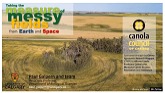 Taking the Measure of Messy Fields from Earth and Space | Paul Galpern | Canola Watch Webinar