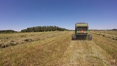 Making Hay - 2022
