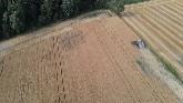 Lets see if the Gleaner R75 will mak...