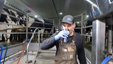 Cleaning a Massive Mess on our Dairy!