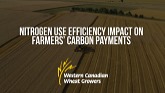 Nitrogen Use Efficiency Impact on Farmers’ Carbon Payments